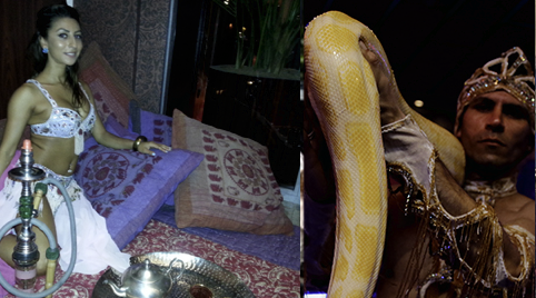 Buikdanseres zoeken en vinden