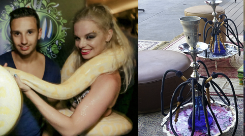 Eenmalig optreden van een buikdanseres