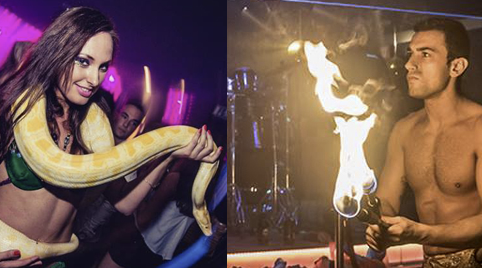 Leuke act voor een Oosters Thema Feest