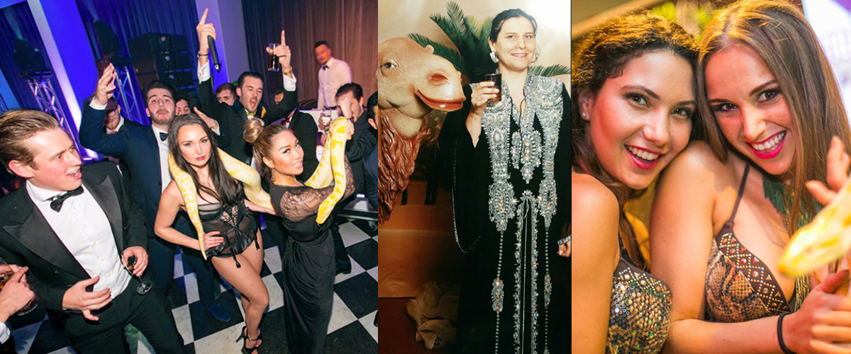 Ik zoek een buikdanseres