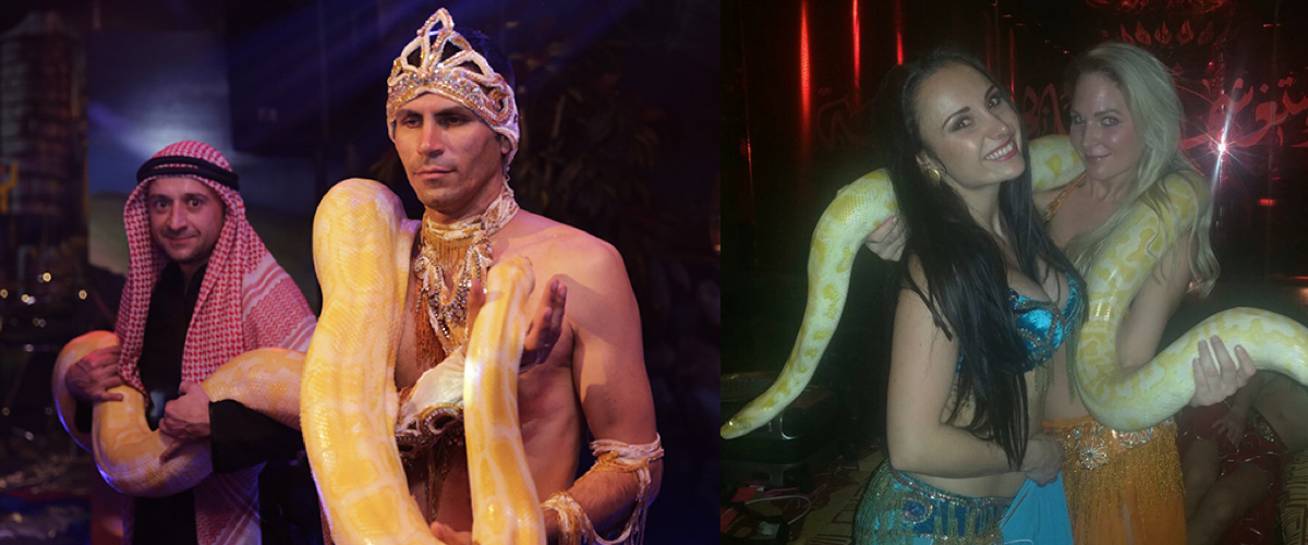 Oosters Themafeest ingredienten