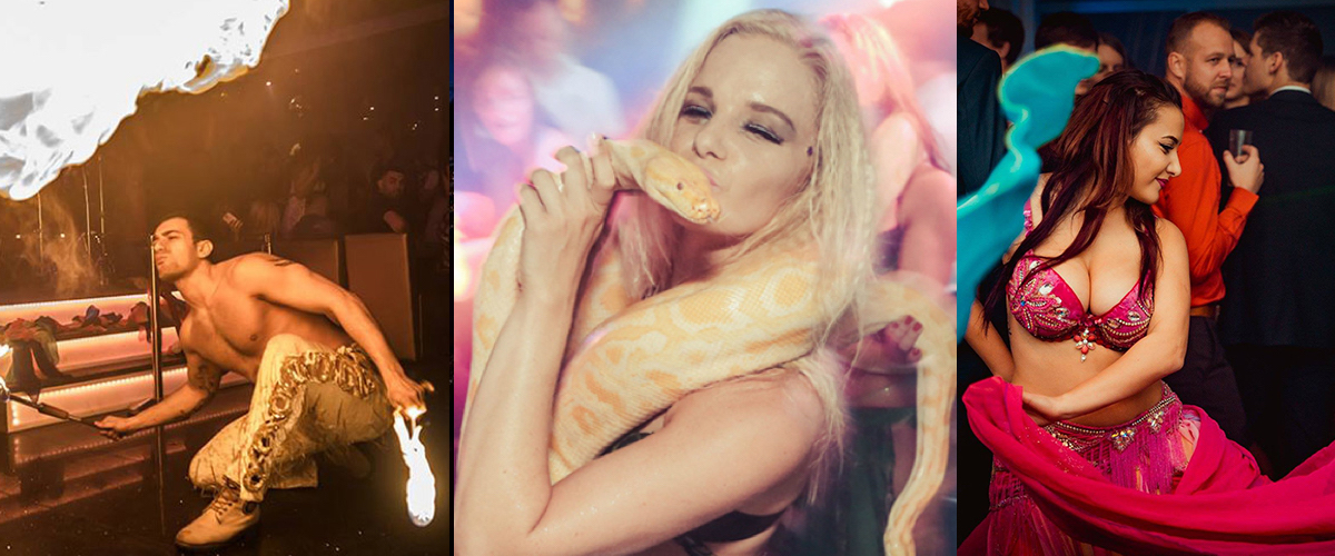 Oosterse slangen show